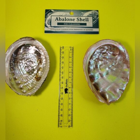 Abalone Shells Two For Cleansing Or Decor Ideas - Picture 8 of 12